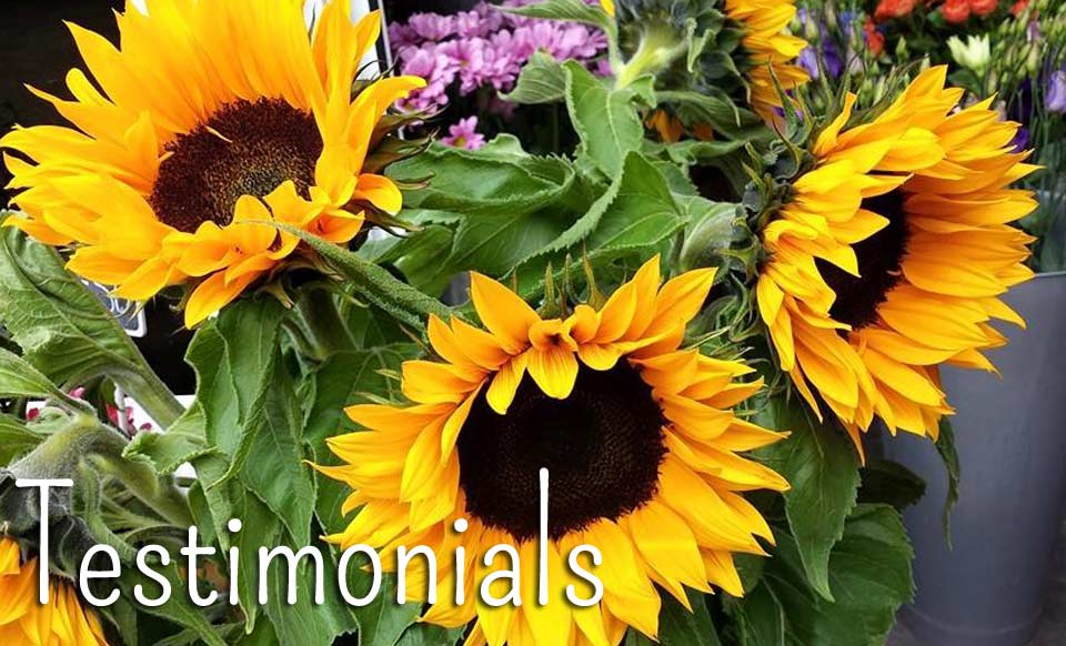 florist winchester testimonials